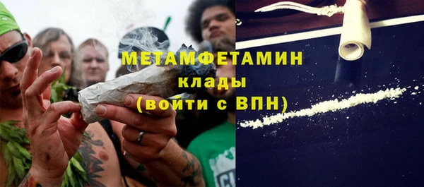 твердый Гусев