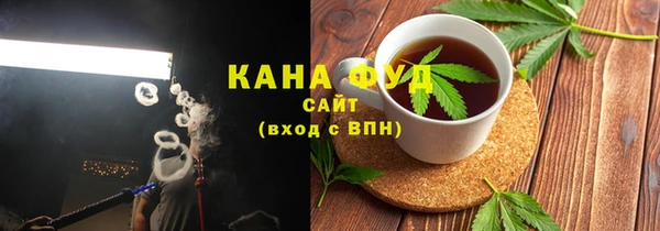 твердый Гусев