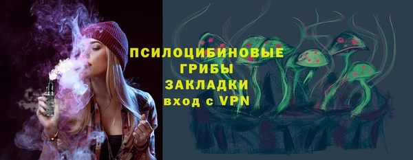 соль ск Гусиноозёрск