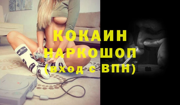 твердый Гусев