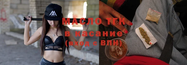твердый Гусев