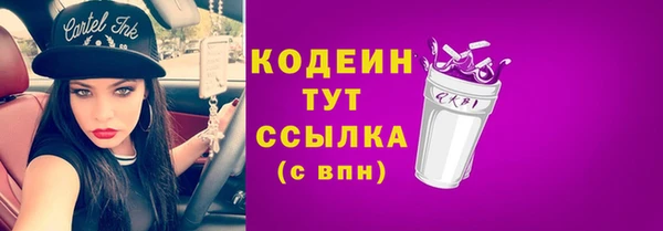 твердый Гусев