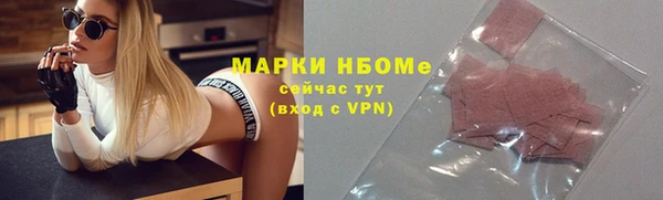 твердый Гусев