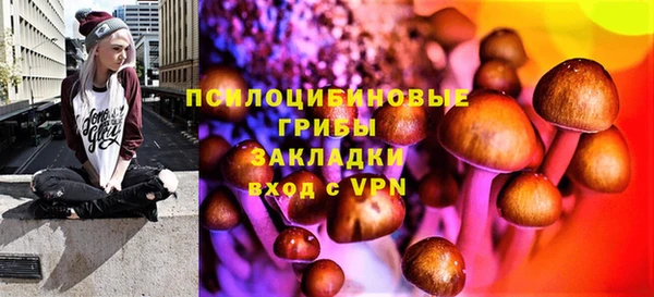Альфа ПВП Гусь-Хрустальный