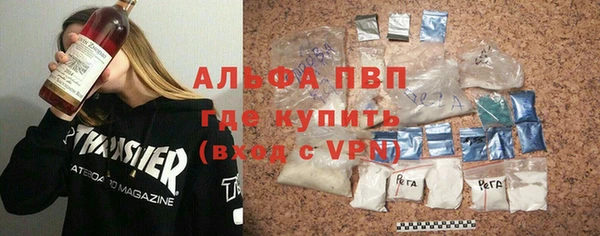 твердый Гусев