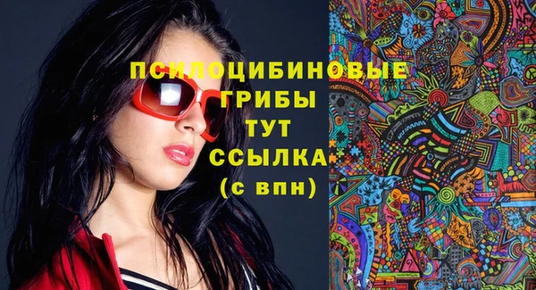 соль ск Гусиноозёрск