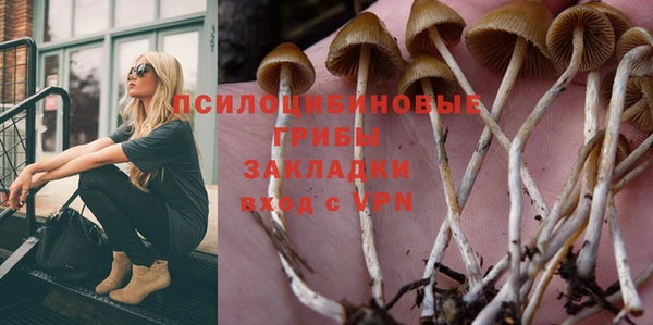 Альфа ПВП Гусь-Хрустальный
