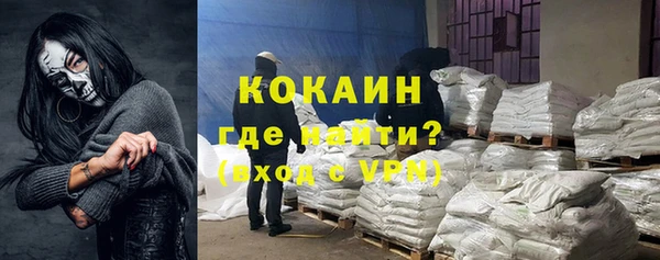 твердый Гусев
