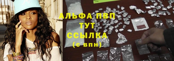 твердый Гусев